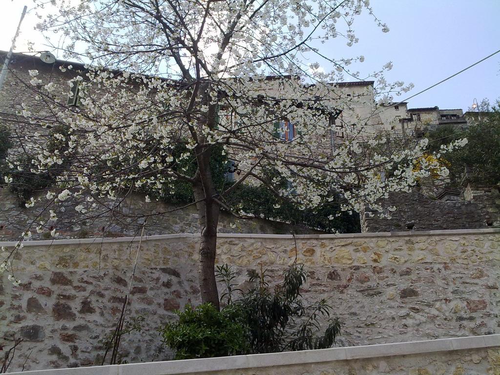 Il Paradiso Nel Borgo Arrone Eksteriør billede